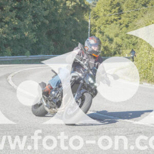 thumb_FF108069