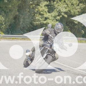 thumb_FF108076