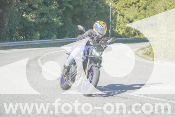 <h1 class="product-title">thumb_FF108099</h1>