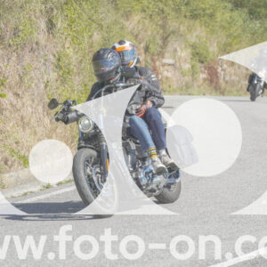 thumb_FF108105