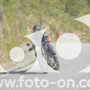 thumb_FF108106