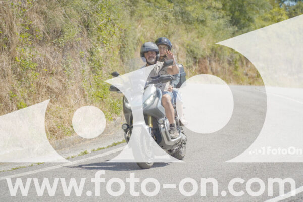 <h1 class="product-title">thumb_FF108112_1</h1>