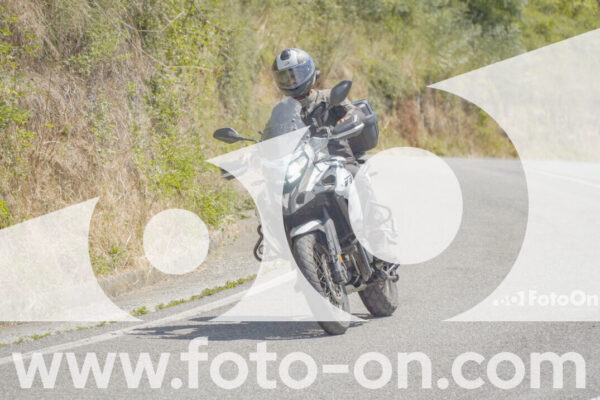 <h1 class="product-title">thumb_FF108131</h1>