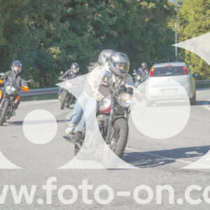 thumb_FF108138-1
