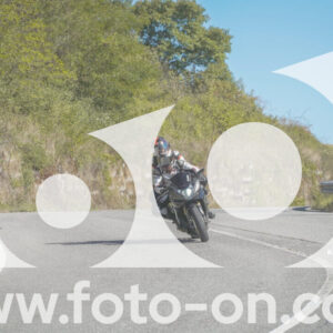 thumb_FF108161
