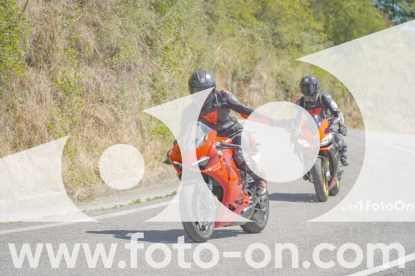 <h1 class="product-title">thumb_FF108209</h1>