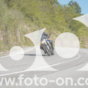 thumb_FF108236
