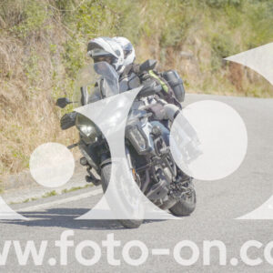 thumb_FF108239