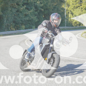 thumb_FF108262