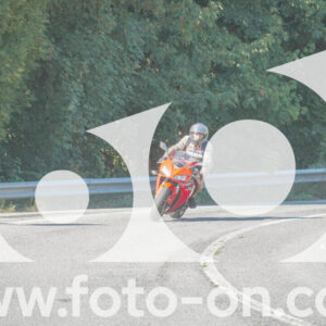thumb_FF108265
