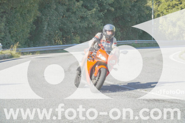 <h1 class="product-title">thumb_FF108266</h1>