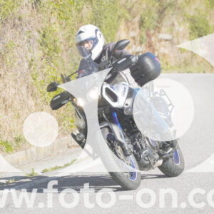thumb_FF108272