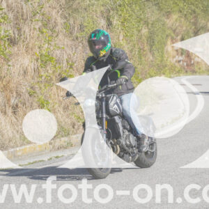 thumb_FF108273