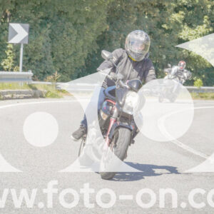 thumb_FF108276