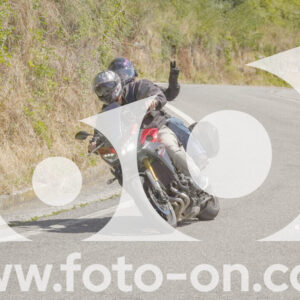 thumb_FF108287