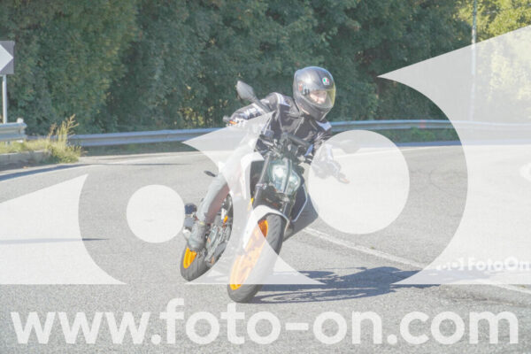 <h1 class="product-title">thumb_FF108294</h1>