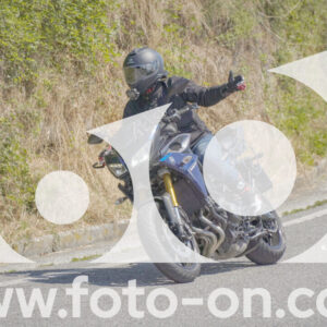 thumb_FF108296
