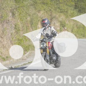 thumb_FF108300