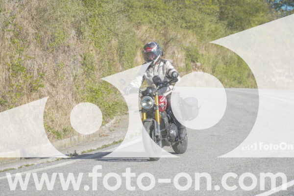 <h1 class="product-title">thumb_FF108300</h1>