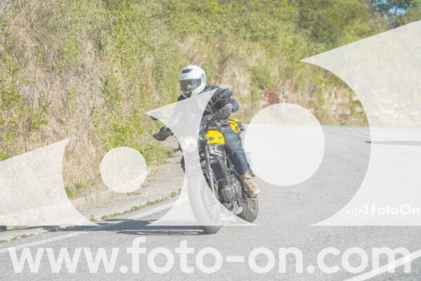 <h1 class="product-title">thumb_FF108308-1</h1>