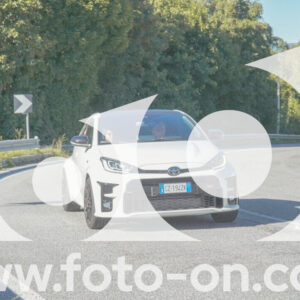 thumb_FF108310