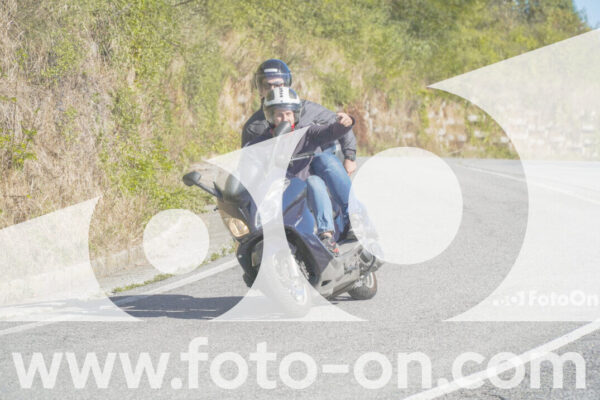 <h1 class="product-title">thumb_FF108312</h1>