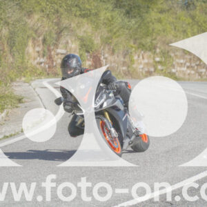 thumb_FF108356-1