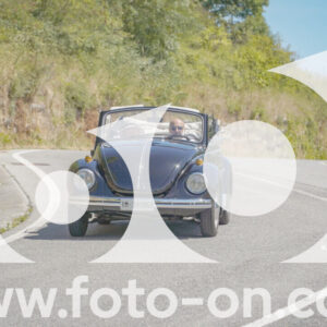 thumb_FF108362