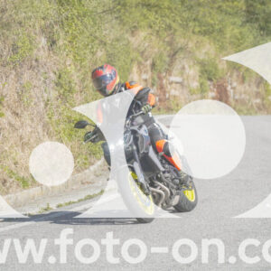 thumb_FF108374