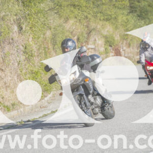 thumb_FF108382-1