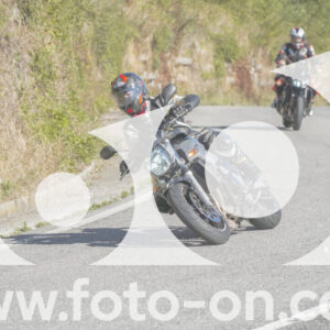 thumb_FF108394