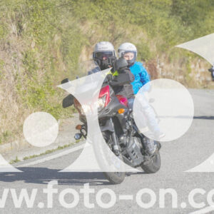 thumb_FF108396