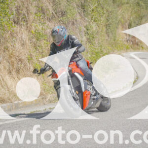 thumb_FF108413