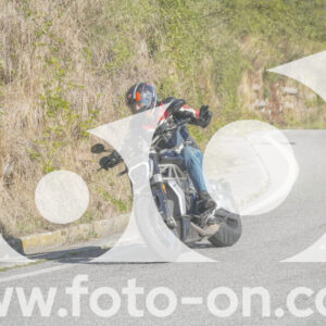 thumb_FF108414-1