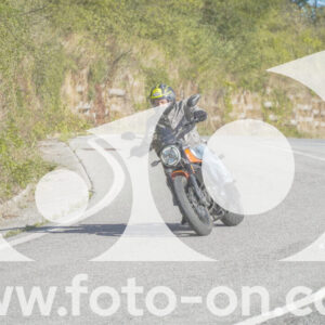 thumb_FF108419