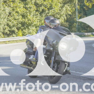 thumb_FF108437