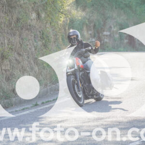 thumb_FF108450
