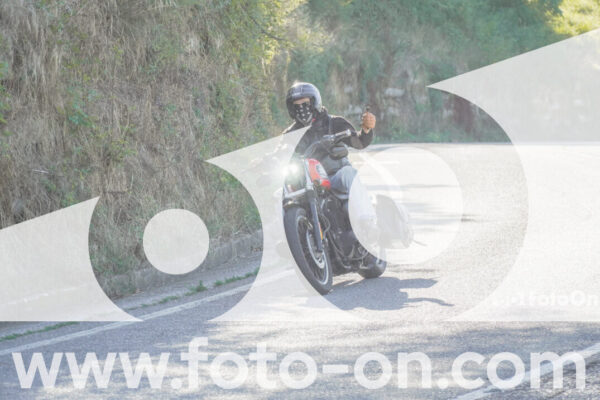 <h1 class="product-title">thumb_FF108450</h1>