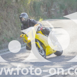 thumb_FF108454