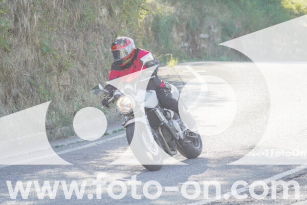 <h1 class="product-title">thumb_FF108456</h1>