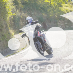thumb_FF108502