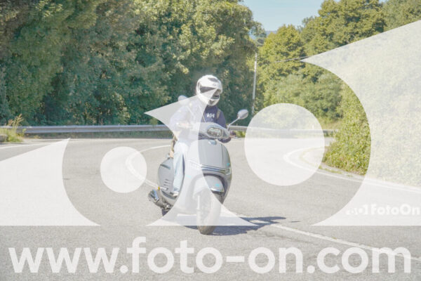<h1 class="product-title">thumb_FF108579</h1>