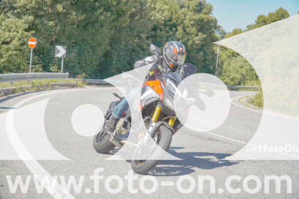 <h1 class="product-title">thumb_FF108593</h1>