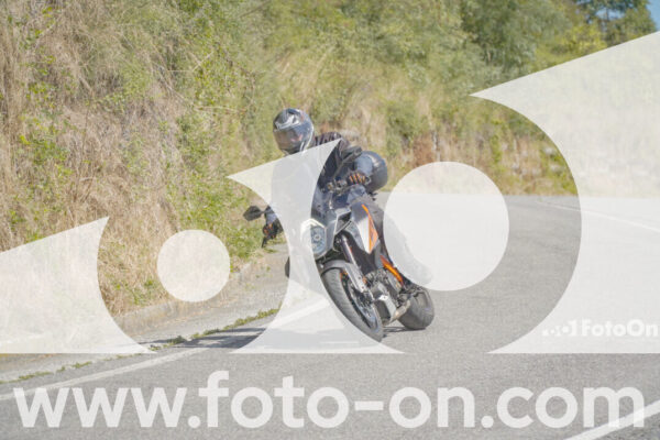 <h1 class="product-title">thumb_FF108601</h1>