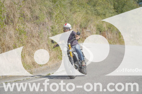 <h1 class="product-title">thumb_FF108650</h1>