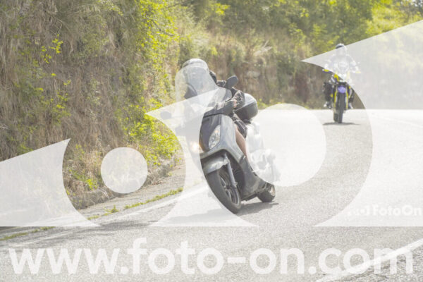 <h1 class="product-title">thumb_FF108653</h1>