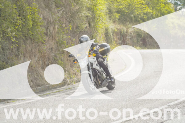 <h1 class="product-title">thumb_FF108664-1</h1>