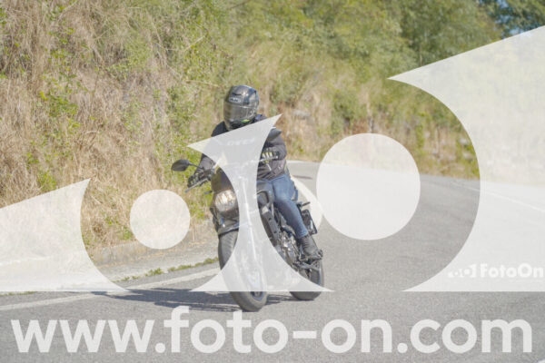 <h1 class="product-title">thumb_FF108669</h1>
