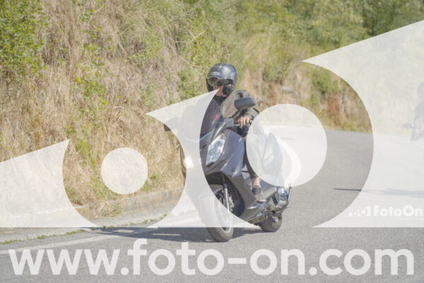 <h1 class="product-title">thumb_FF108672</h1>