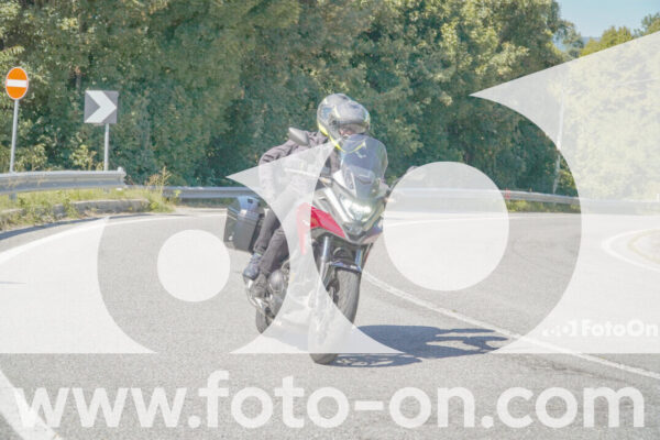<h1 class="product-title">thumb_FF108754</h1>